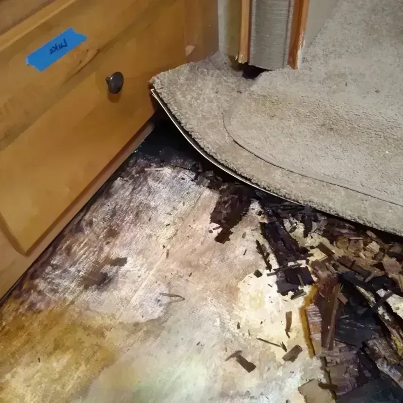 Best Wood Floor Water Damage Service in Plymouth, CT